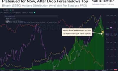 50,000ドルのレベルを取り戻すビットコインへの道