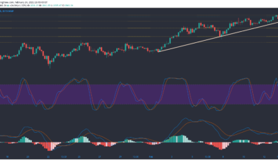 イーサリアム、EOS、Synthetix価格分析：2月14日