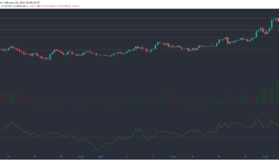 チェーンリンク、NEM、Enjin価格分析：2月16日