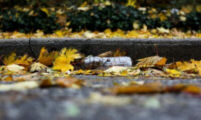 このエコノミストは、「死のスパイラル」の後にビットコインがゼロに落ちるのだろうと考えています