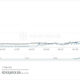 MicroStrategyや他の機関がビットコインの購入を後悔しない理由
