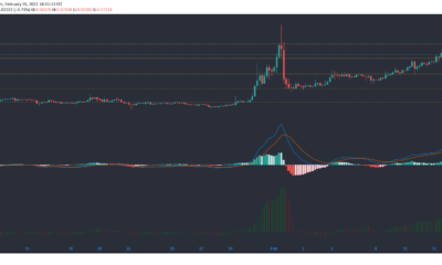 XRP、Aave、基本的な注意トークンの価格分析：2月15日