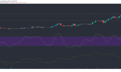 Tezos、UNI、Dogecoin価格分析：2月13日
