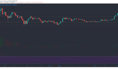 Binance Coin、NEM、SUSHI価格分析：3月10日