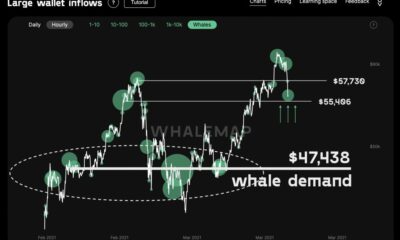 あなたよりも頻繁にビットコインクジラを見ることが重要な理由