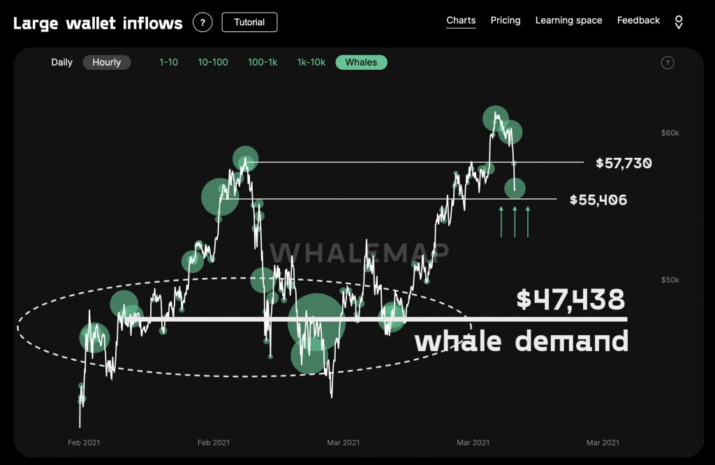 あなたよりも頻繁にビットコインクジラを見ることが重要な理由