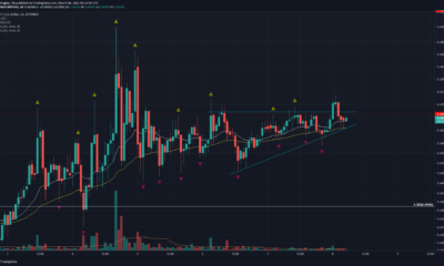 XRP、Aave、Dogecoin価格分析：3月8日