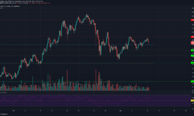 Litecoin、Crypto.com Coin、Ethereum Classic価格分析：3月8日