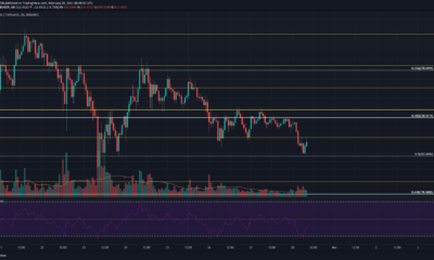 Binance Coin、EOS、BAT価格分析：2月28日