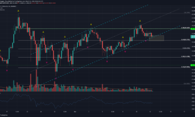 Polkadot、Crypto.comコイン、Dogecoin価格分析：3月12日