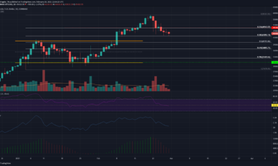 ビットコイン価格分析：2月28日