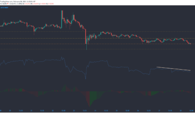 XRP、Tron、Synthetix価格分析：2月28日