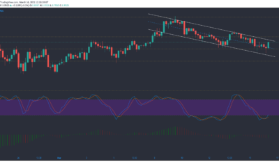 Tezos、NEM、Neo価格分析：3月16日