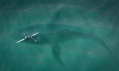 誰かがXRPトランザクションに4,480ドルを支払いました