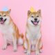 オンラインのタイヤとホイールの小売業者は、支払いとしてDogecoin、Bitcoin、Ethereumを受け入れます