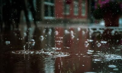 Ripple-SECの訴訟：6000人を超えるXRP保有者が第三者の被告として参加したい