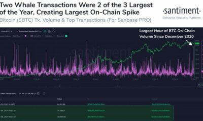 最新のBTCクジラ取引が価格上昇にとって何を意味するか