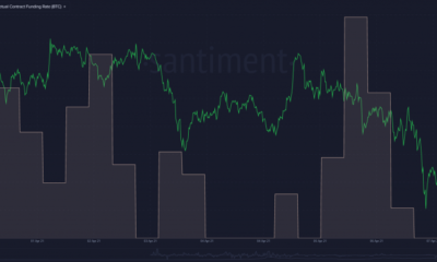 ビットコインの現在のクジラの感情が価格に対して何を意味するか