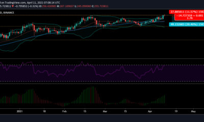 ライトコイン価格分析：4月11日