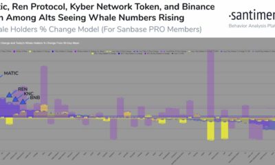 Binance Coin、REN、Maticなどの代替品に焦点を当てているトレーダーは何ですか？