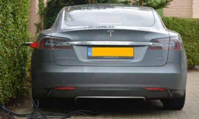 この宣伝スタントは、イーロン・マスクをビットコインキャッシュに誘惑しますか？