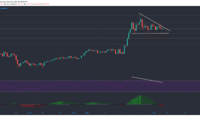 ビットコインキャッシュ、イーサリアムクラシック、ポルカドット価格分析：5月9日
