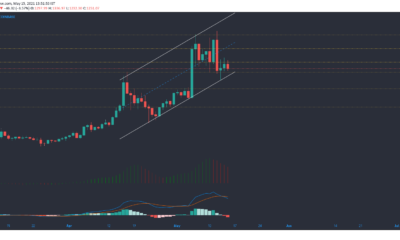 ビットコインキャッシュ、コスモス、ナノ価格分析：5月15日