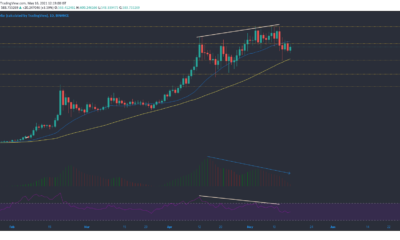 Binance Coin、XRP、Dogecoin価格分析：5月16日