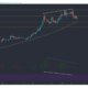 Binance Coin、XRP、Dogecoin価格分析：5月16日