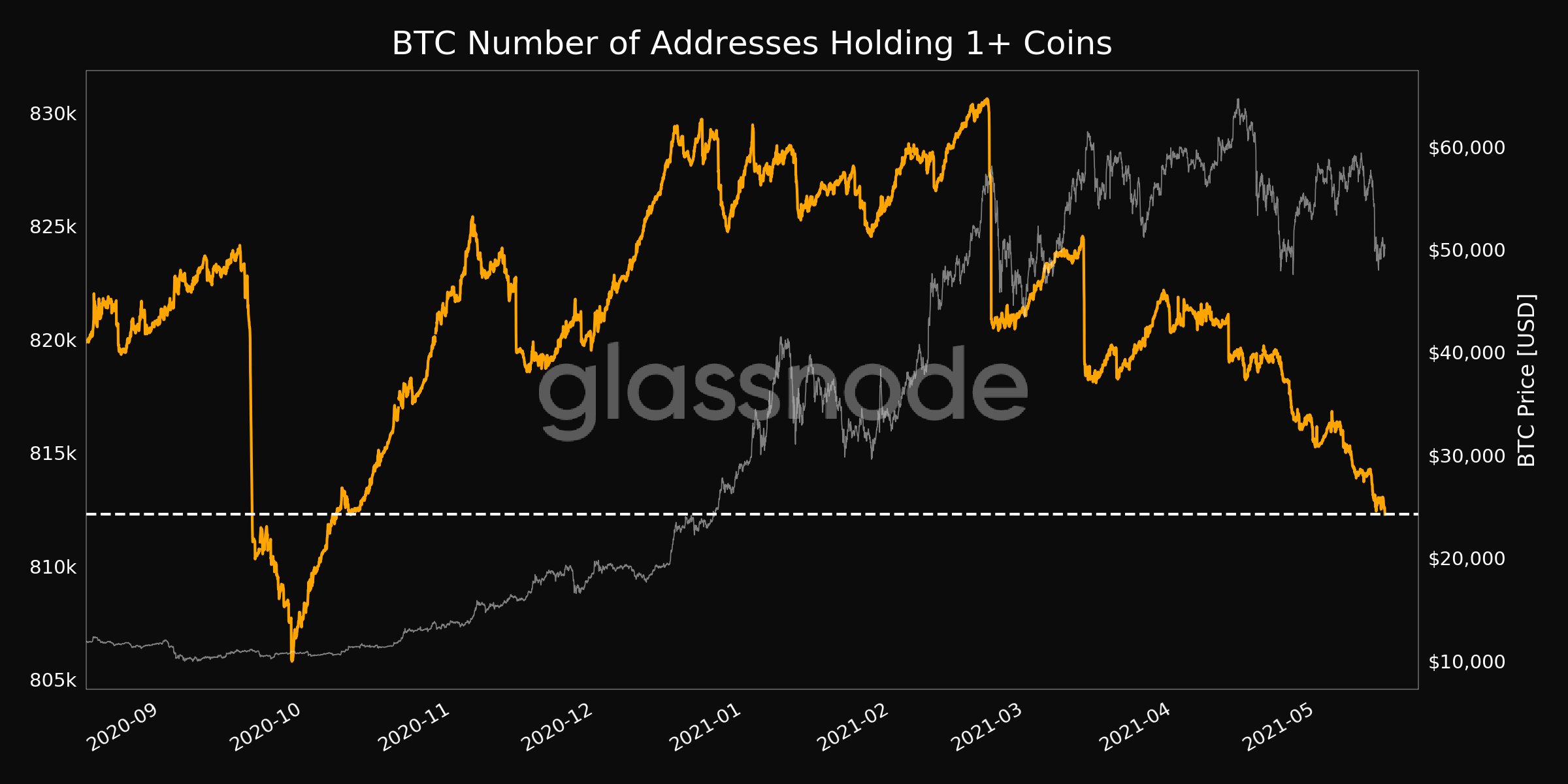 「次のビットコイン」は…