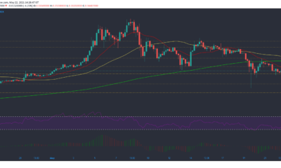 Dogecoin、Chainlink、Binance Coin価格分析：5月22日
