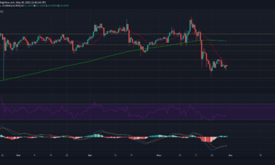 ポルカドット、ビットコイン キャッシュ、ソラナの価格分析: 5 月 30 日