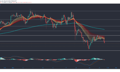 XRP、ポルカドット、ドージコインの価格分析：5月28日