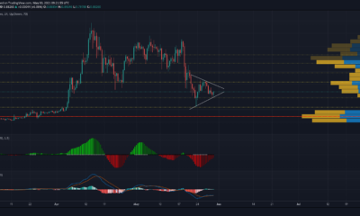 XRP、ドージコイン、カルダノの価格分析：5月30日
