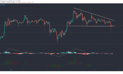 XRP、ドージコイン、イーサリアム価格分析：5月9日