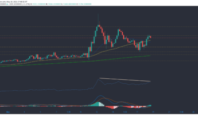 YFI、Binance Coin、Bitcoin Cash Price Analysis：5月18日