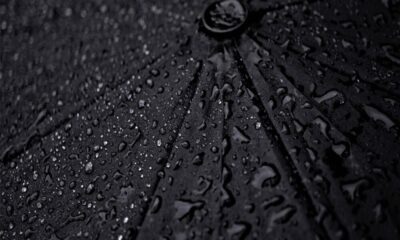 EOSとTezosにとって市場の落ち込みはどういう意味ですか？