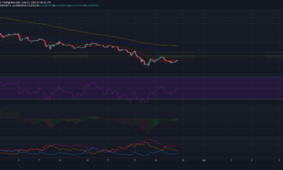 XRPの回復をこれらのレベルに制限できますか？