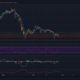 Binance Coinには、より急激な価格変動を記録する可能性がありますか？
