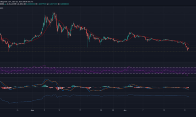 Dogecoin：損失を軽減する方法はありますか？