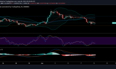 Dogecoin、XRP、Binance Coinの価格分析：6月9日