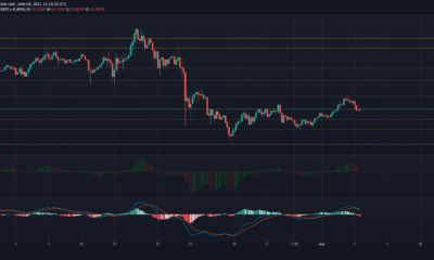 Polkadot、EOS、Synthetix の価格分析: 6 月 4 日