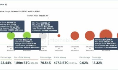 ビットコインが25000ドルを下回る可能性はどのくらいありますか
