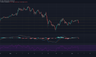 Chainlink、Cosmos、Aave 価格分析: 6 月 4 日