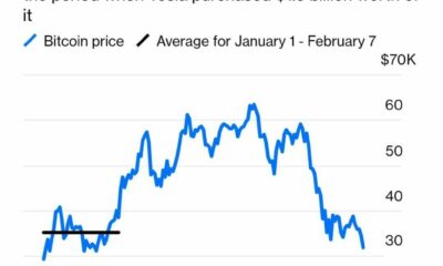 （イーロン・マスクと）テスラのビットコイン戦略とその影響とは