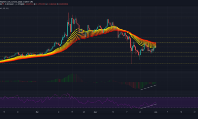 VeChain、イーサリアム、ビットコイン キャッシュの価格分析: 6 月 1 日