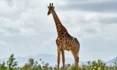 イーサリアムのヴィタリック・ブテリン: 私たちがこのプロジェクトで見つけた最大の問題の 1 つは…