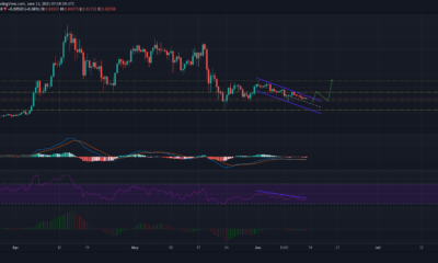 XRP価格分析：6月13日