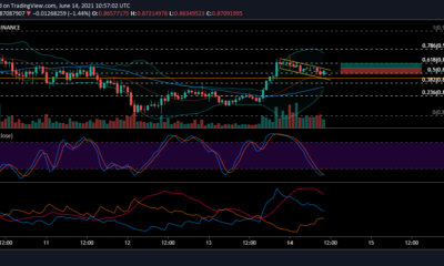 XRP価格分析：6月14日