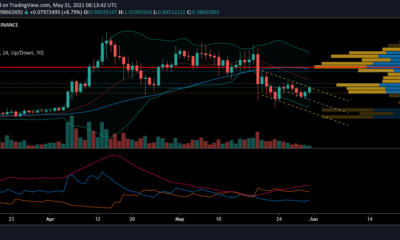 XRP価格分析: 5月31日